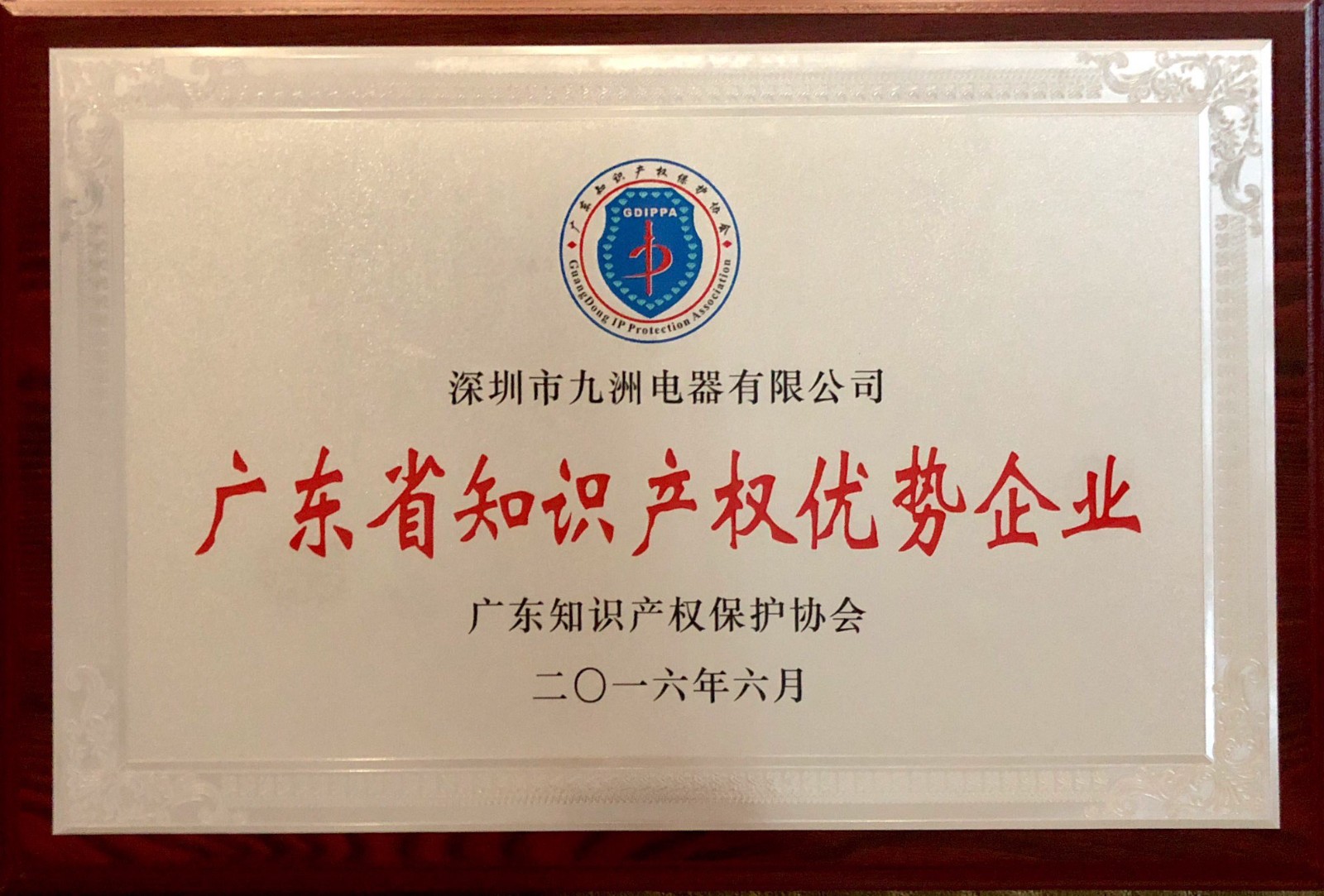 11.2016年廣東省知識(shí)產(chǎn)權(quán)優(yōu)勢(shì)企業(yè).jpg